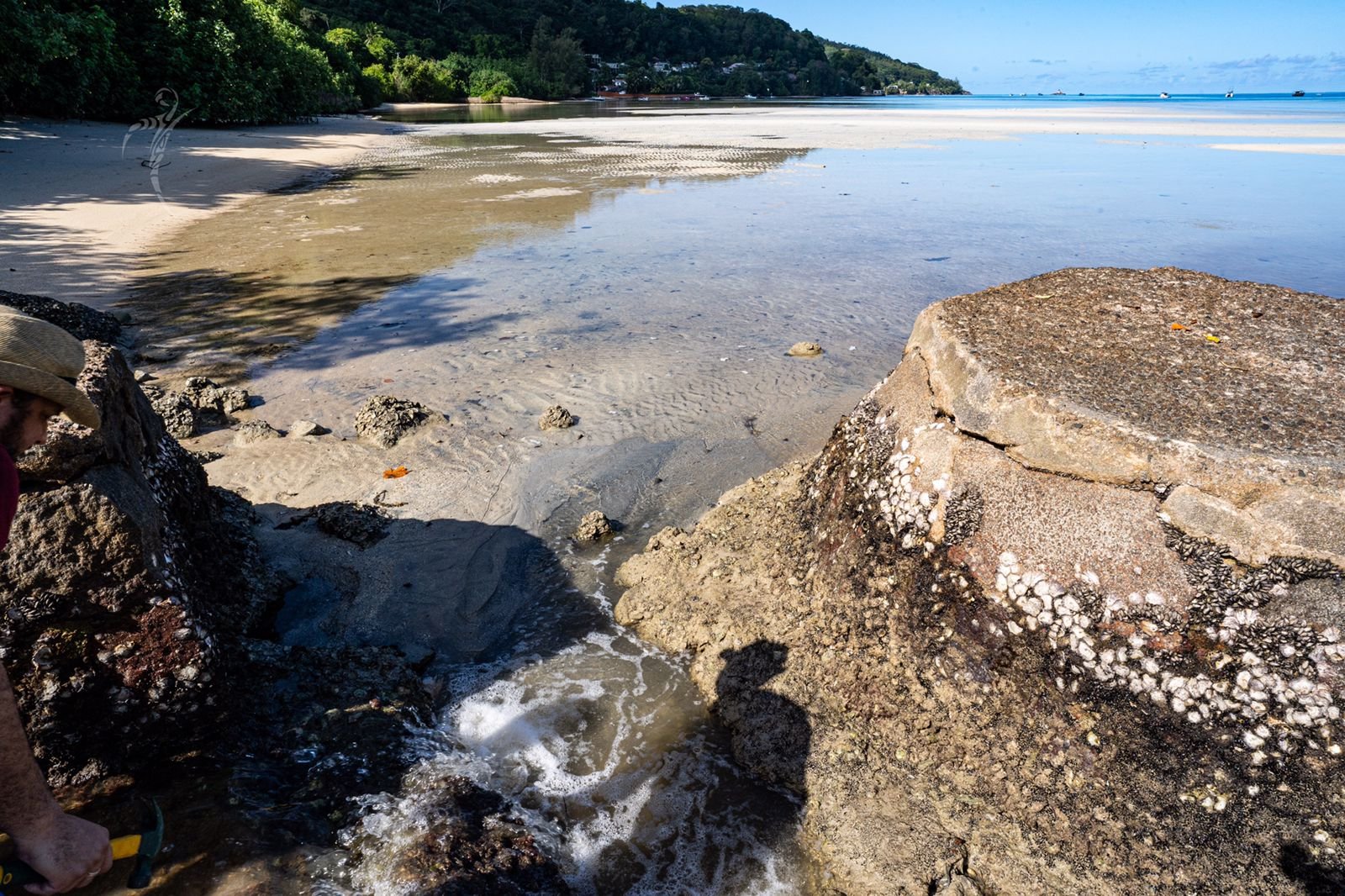 Visit to Anse La Mouche